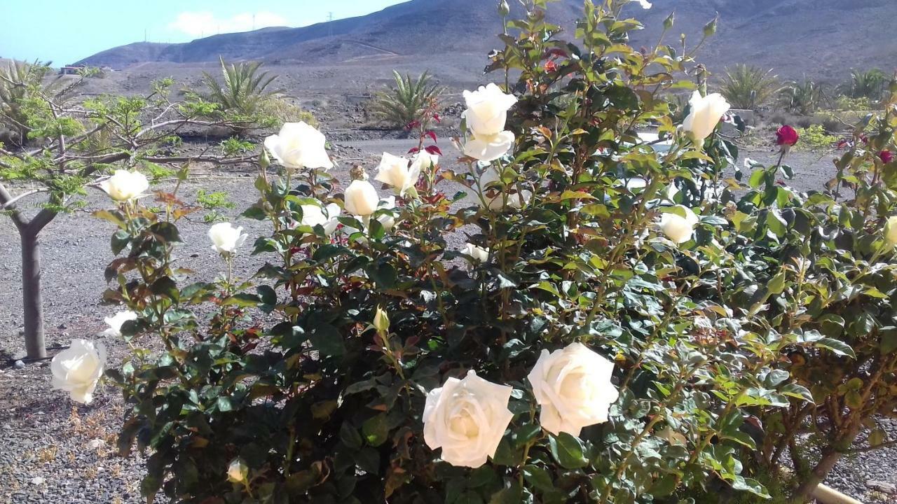 Lajita Finca Los Rosales מראה חיצוני תמונה