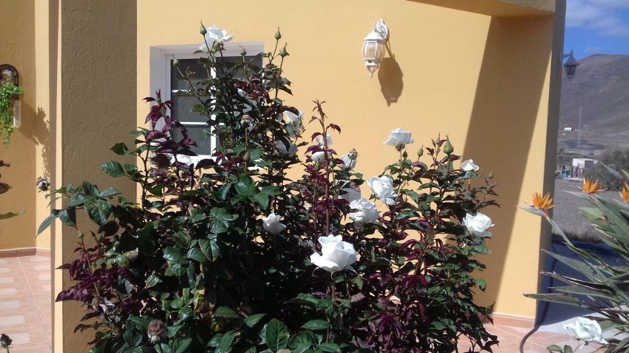Lajita Finca Los Rosales מראה חיצוני תמונה
